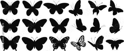 Set of butterfly silhouettes isolated on white background, flying insects collection, nature design, vector illustration, wildlife, garden decoration, ecology symbol