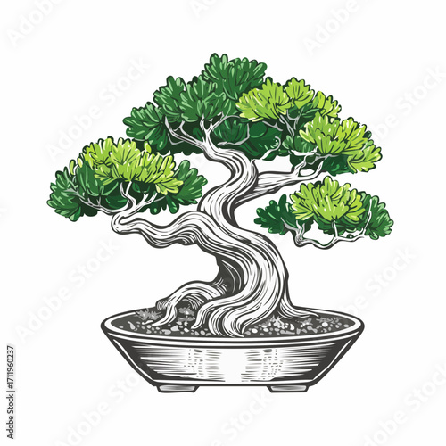 Traditional Japanese bonsai tree, meticulously cultivated in a pot, symbolizing peace and natural beauty, an exquisite botanical art piece