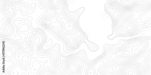 Abstract minimal geography location vector topo map. creative discovery White wave grid stripe line map topography. vector geographic contour mounted map background.	