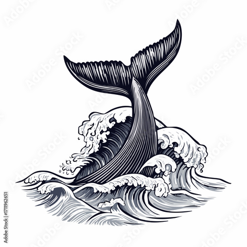 Whale Tail's Splash Engraved Illustration of Ocean Majesty