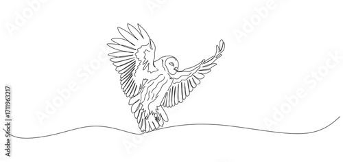 Continuous one line drawing of an owl landing with wings fully spread. Minimalist linear illustration representing wildlife, nocturnal bird, freedom, and the beauty of nature. Elegant outline artwork 