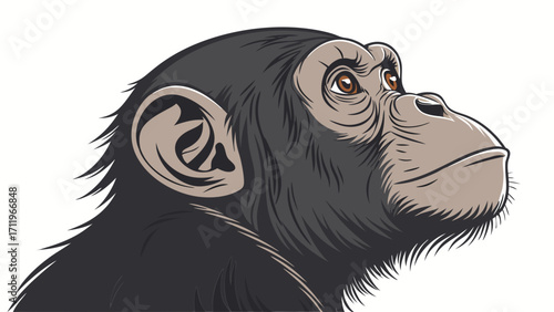Chimpanzee Portrait Close-up Vector Illustration Animal Head Primate Wildlife Nature Dark Fur Brown Eyes Looking Up Side Profile Detailed Drawing Graphic Design Element Zoology Mamm.