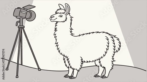 Cute fluffy llama in a photoshoot studio lighting animal photography cartoon illustration vector art.