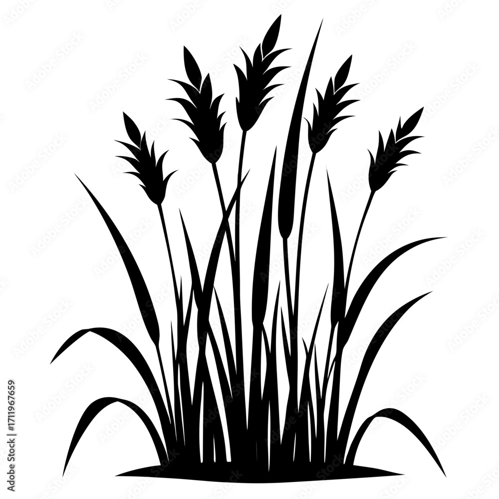 Obraz premium Tall Meadow Grass Silhouette