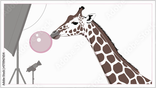 Giraffe blowing bubble gum in studio setting.