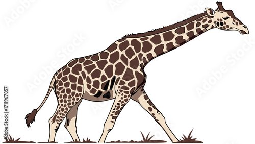 Giraffe illustration African animal walking tall neck spotted pattern wildlife nature zoo animal safari animal jungle animal vector art graphic design animal illustration fauna mamm.