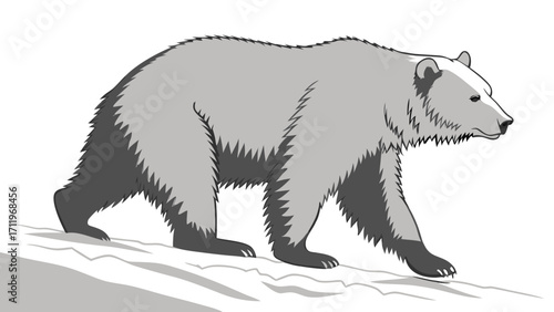 Gray bear walking on snow wildlife illustration nature graphic animal design vector art furry creature arctic animal wild animal mammal predator wilderness fauna cartoon bear grizzly.