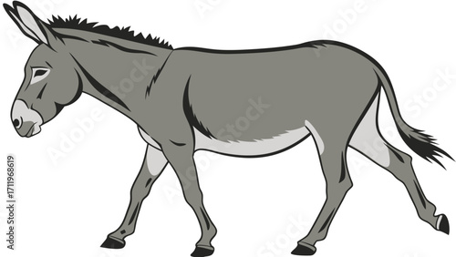 Gray Donkey Walking Equine Illustration Farm Animal Clipart Side View Donkey Animal Graphic Design Vector Illustration of Donkey.