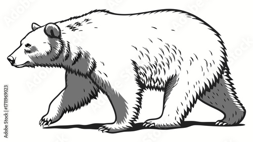 Grizzly Bear Illustration Walking Bear Graphic Black and White Bear Drawing Wildlife Animal Artwork Nature Print Forest Animal Design Vintage Bear Style Hand-Drawn Bear Image Monochrome B.