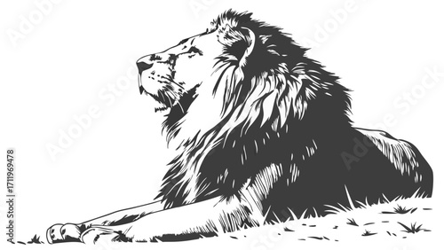 Majestic Lion Illustration Powerful King of the Jungle in Black and White Sketch Style.