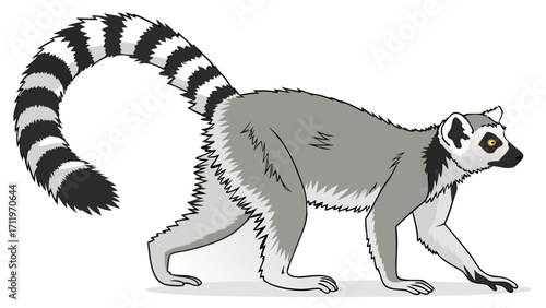 Ring-tailed lemur walking wildlife illustration primate animal zoology fauna nature grey black white striped tail mammal cartoon graphic design element vector isolated wild anima.