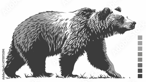 Stylized grayscale illustration of a bear walking wildlife nature animal fur paw monochrome design element graphic vector art wild animal mammal predator wilderness forest zoology.