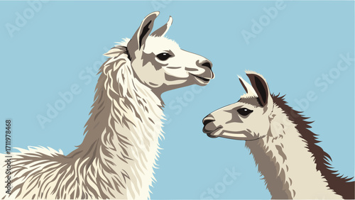 Two Llamas Profile View Fluffy South American Camelid Animal Illustration.
