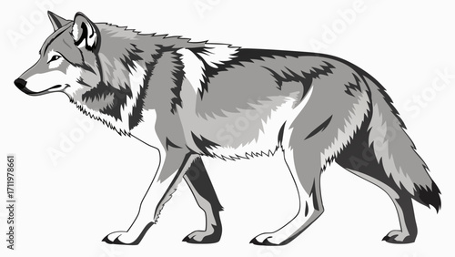 Walking Wolf Gray Scale Canine Illustration Wild Animal Vector Graphic Nature Design Element.