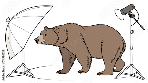Studio Photography of a Bear Animal Photo Shoot Wildlife Illustration Cartoon Bear Illustration Photo Lighting Setup Backdrop and Lighting.