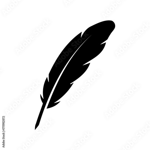 Silhouette of a feather in black against a white background creating contrast