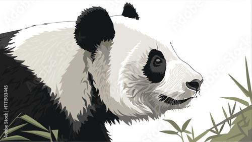 Stylized Panda Bear Portrait Close-up Black and White Illustration Wildlife Art Nature Design Endangered Animal Bamboo Forest Monochrome Graphic Animal Illustration Wild Animal Vector.