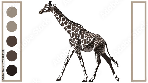 Walking Giraffe African Animal Illustration Wildlife Vector Graphic Tall Mammal Safari Theme Zoo Animal Art Nature Print Coloring Page Brown and White Spots Elegant Creature Long Neck.