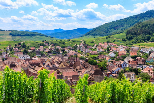 View of Riquewihr village with vineyard on a foreground. Alsace Wine Route, France