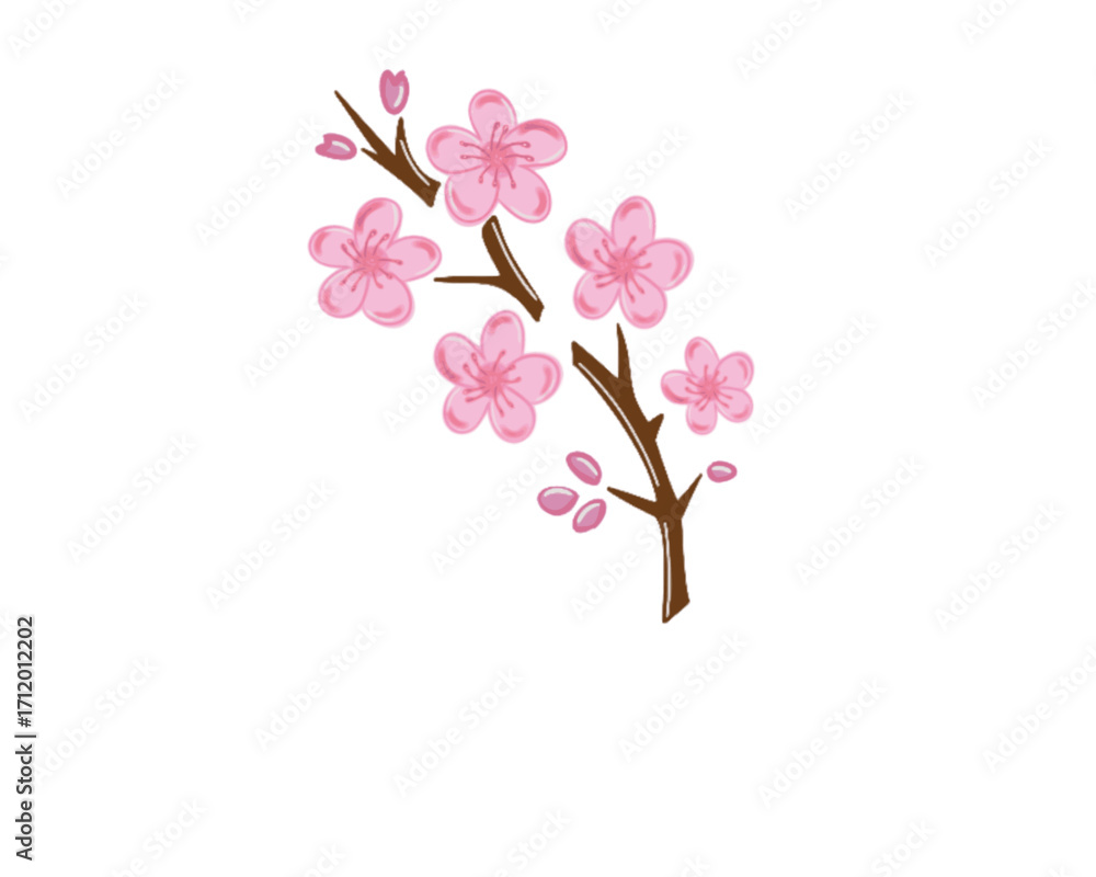 Fototapeta premium Pink sakura flower japanese