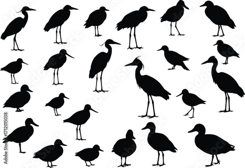 Bird silhouettes, shorebirds, wading birds, herons, egrets, ducks, avian shapes, wildlife silhouettes, nature icons, bird species, ornithology, vector birds, black silhouettes,