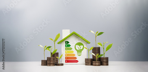 Energy-saving homes, energy efficiency concepts, eco-friendly home improvements, cost savings, low-energy eco-friendly homes, green handshake