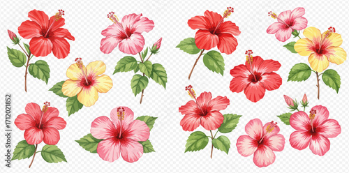 A collection of beautifully illustrated watercolor hibiscus flowers in red, pink, and yellow with green leaves and buds.