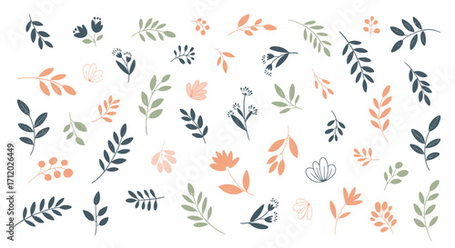 A beautiful collection of colorful botanical leaf and flower illustrations. .