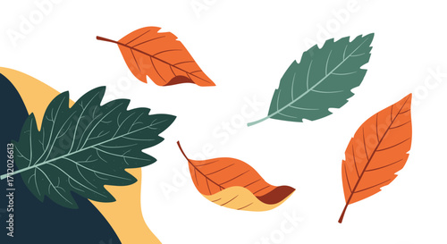 The beauty of autumn leaves falling during the changing seasons.