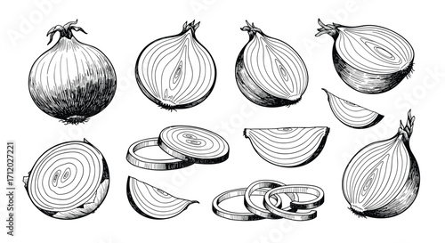 Illustrations of whole onions sliced and diced into wedges and rings.