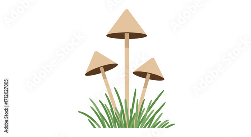 A cluster of three pale brown capped mushrooms growing tall in vibrant green grass.