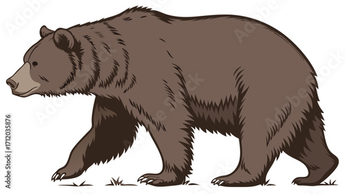 Brown bear illustration walking mammal wildlife vector graphic furry animal nature artwork wild animal design powerful predator forest creature big bear clipart zoo animal brown bear im.