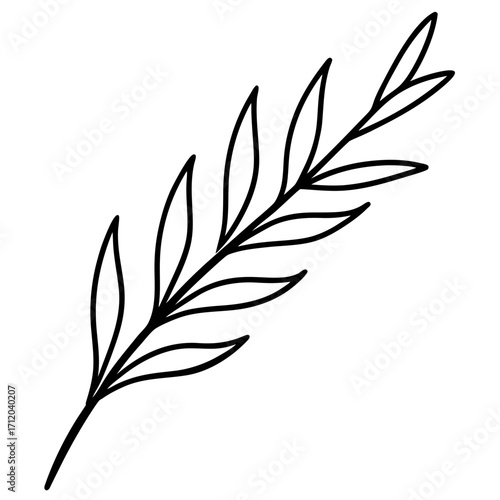 Herbal Twig Line Vector