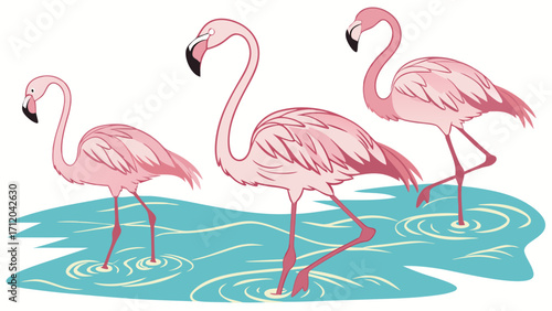 Three Pink Flamingos in Shallow Water Tropical Bird Illustration Wildlife Art Nature Design.