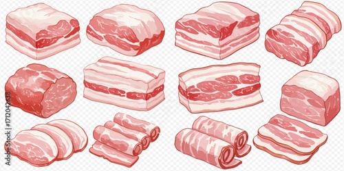 An illustrated collection of various raw pork belly cuts, including slabs, slices, and rolled pieces.