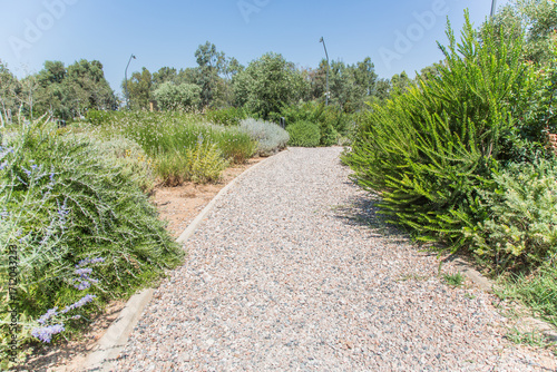 Landscaped park with mediterranean plants at The Ellinikon, Athens, Greece