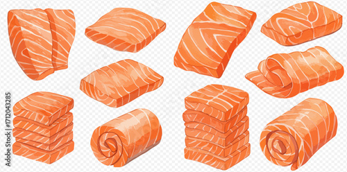 A collection of various raw salmon cuts, including fillets, steaks, and rolls, presented in a watercolor illustration style on a transparent background.