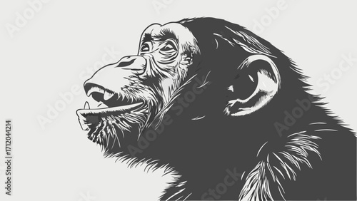 Stylized Chimpanzee Portrait Black and White Animal Illustration Primate Headshot Wildlife Art Graphic Design Element.
