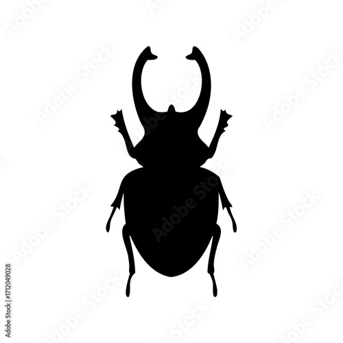 Silhouette of an Egyptian scarab beetle, a symbol of resurrection and transformation