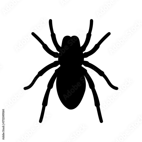 Black silhouette of a spider with eight legs on a white background