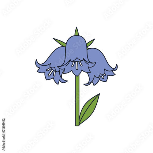 Simple vector illustration of a blue campanula flower.