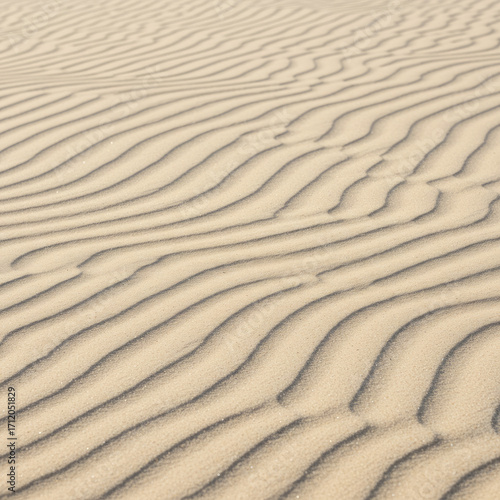 sand texture background