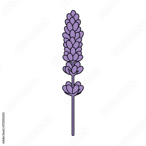 A simple stylized illustration of a purple lavender sprig.
