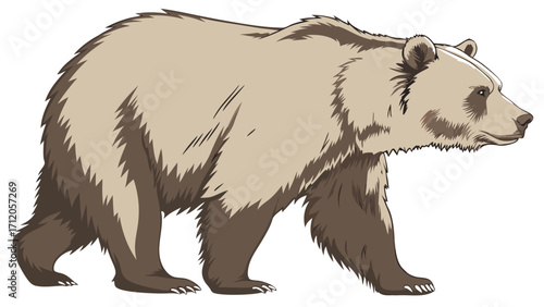 Brown bear illustration walking animal wildlife art furry creature nature graphic forest animal design wild animal predator mammal cartoon bear grizzly bear bear clipart large mammal.