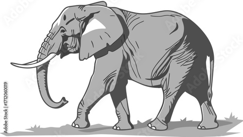 Illustration of an African Elephant grayscale wildlife animal nature zoology fauna mammal tusks trunk walking safari wilderness jungle savanna wildlife art animal illustration gr.