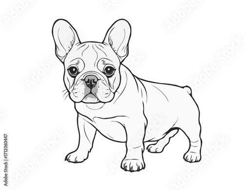 French bulldog puppy hand drawn sketch Vector illustration.