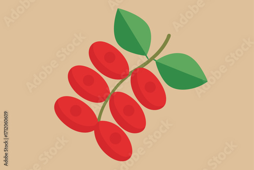 Coral Bean Used in Herbal Remedies