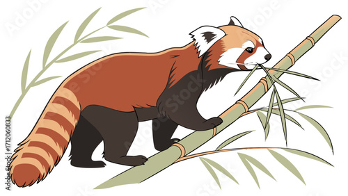 Red Panda Eating Bamboo Adorable Wildlife Illustration Cute Animal Cartoon Nature Clipart.