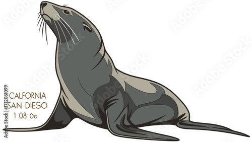 Sea Lion Illustration Marine Mammal Design for Print Web and Logo Use.