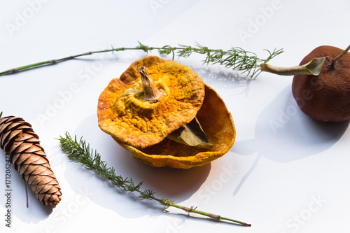 Dried pumpkin - container with a lid and a dried mandarin with a leaf, horsetail, and a spruce cone on a white background. Still life.